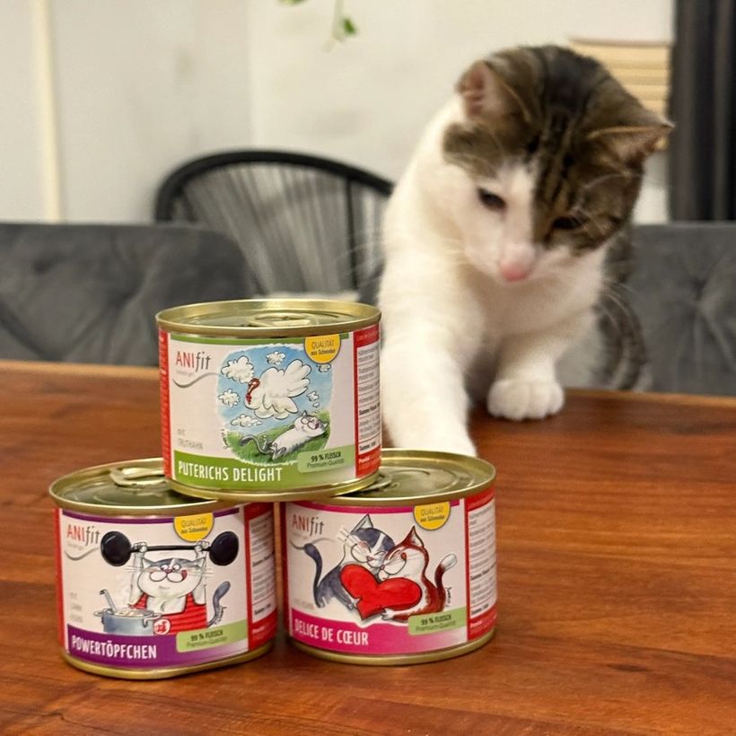 Katze neben Nassfutter-Dosen